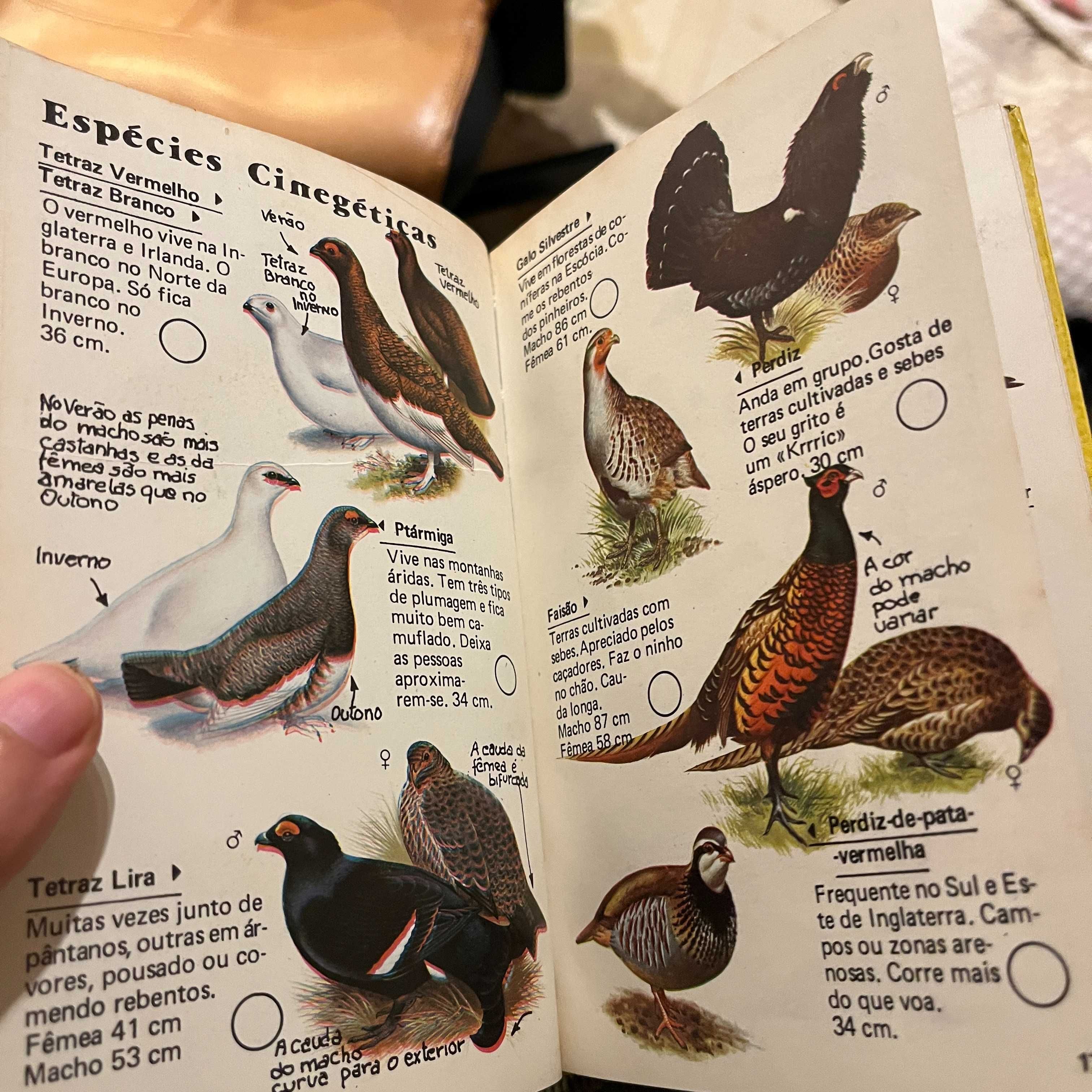 Guia do Observador de Pássaros (envio grátis)