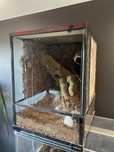 Terrarium Repti zoo 45x45x60