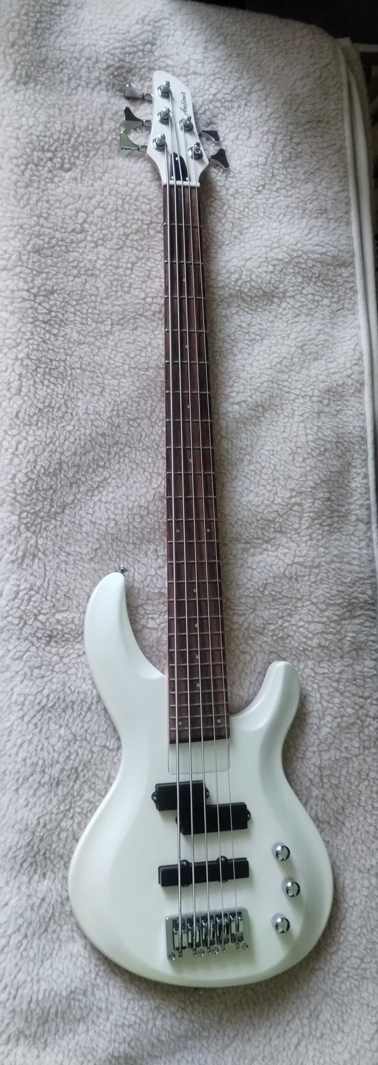 Gitara basowa Aria Pro II
