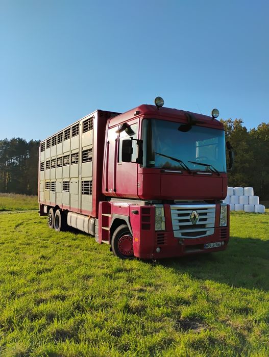 Renault Magnum do przewozu zwierząt 3 piętra( zamienię traktor koparka