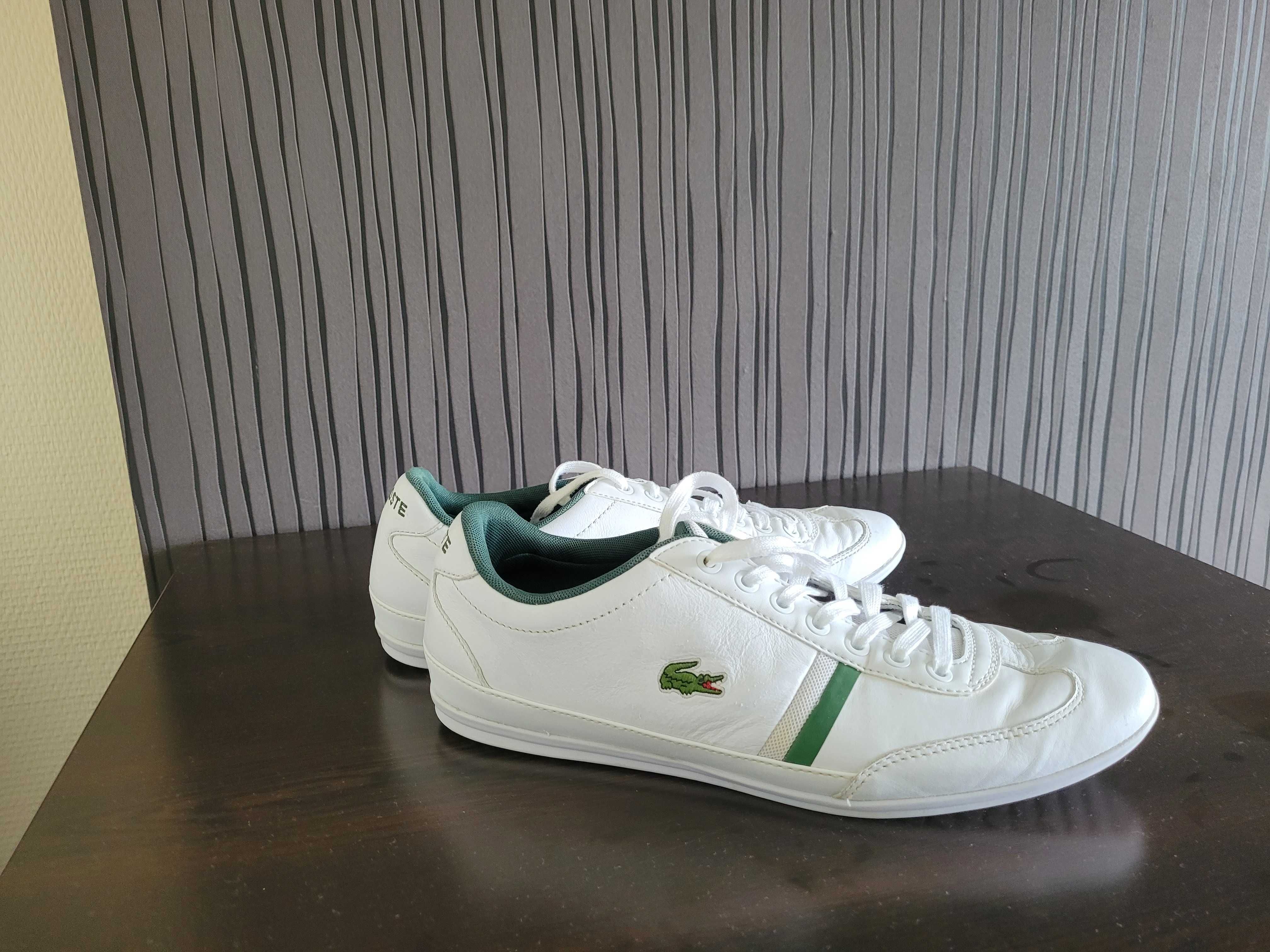 Buty lacoste bialo zielone