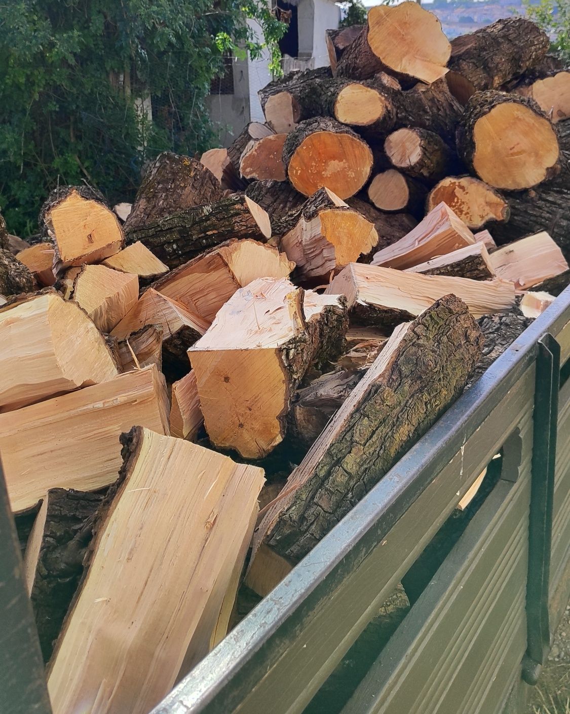 Lenha / Firewood