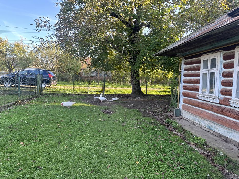 Продається будинок Самбірський район село Кульчиці