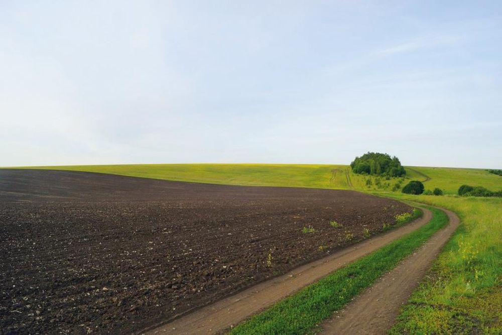 Недорого вспашка, культивация, фрезеровка, оранка, пахота, мотоблок