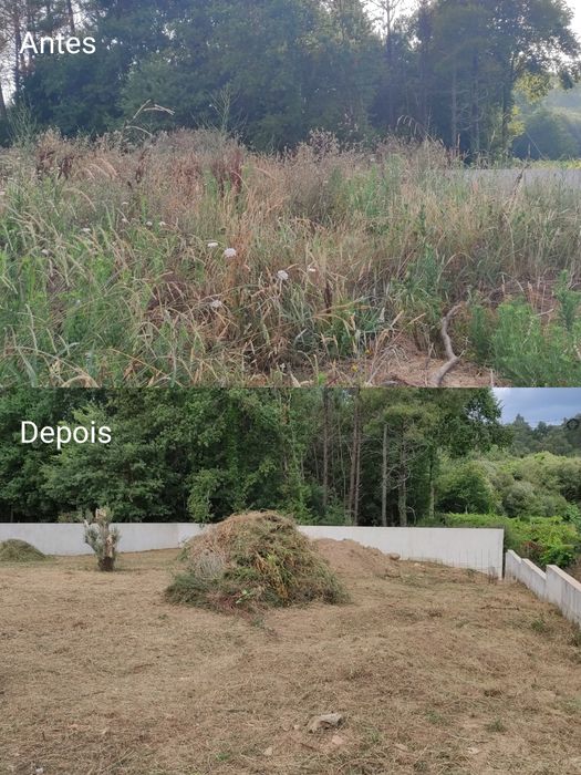 Serviços de Jardinagem