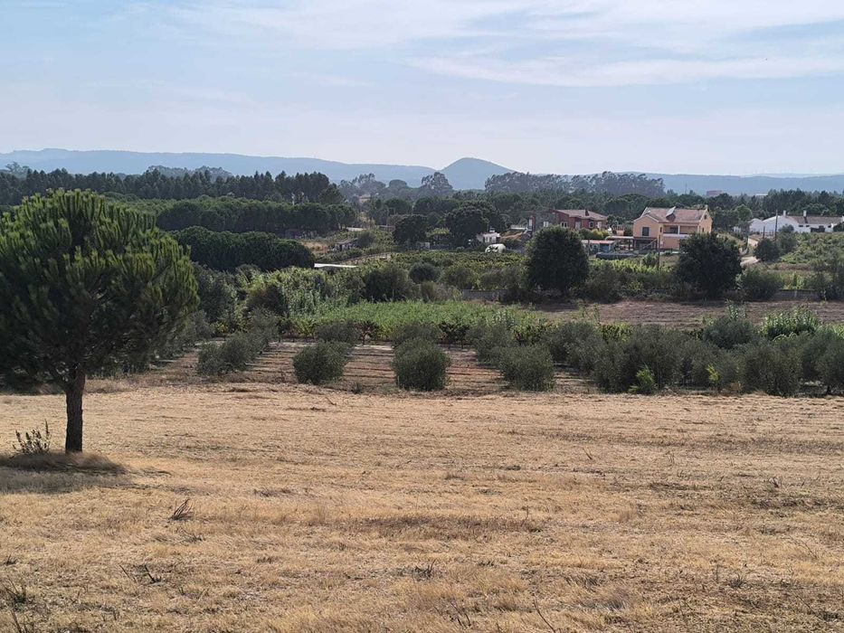 arrenda-se 3000m2