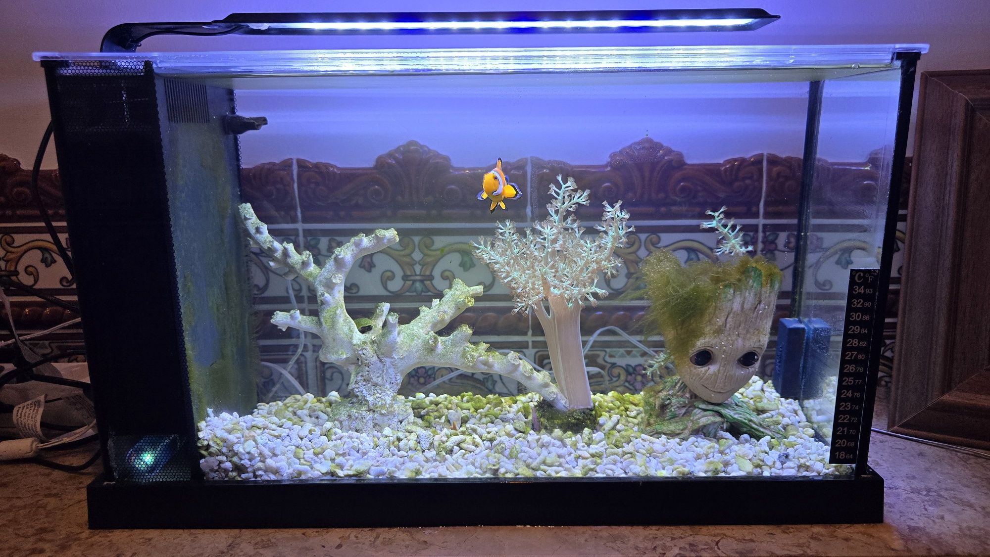 Aquario fluval 19 litros EVO - água salgada