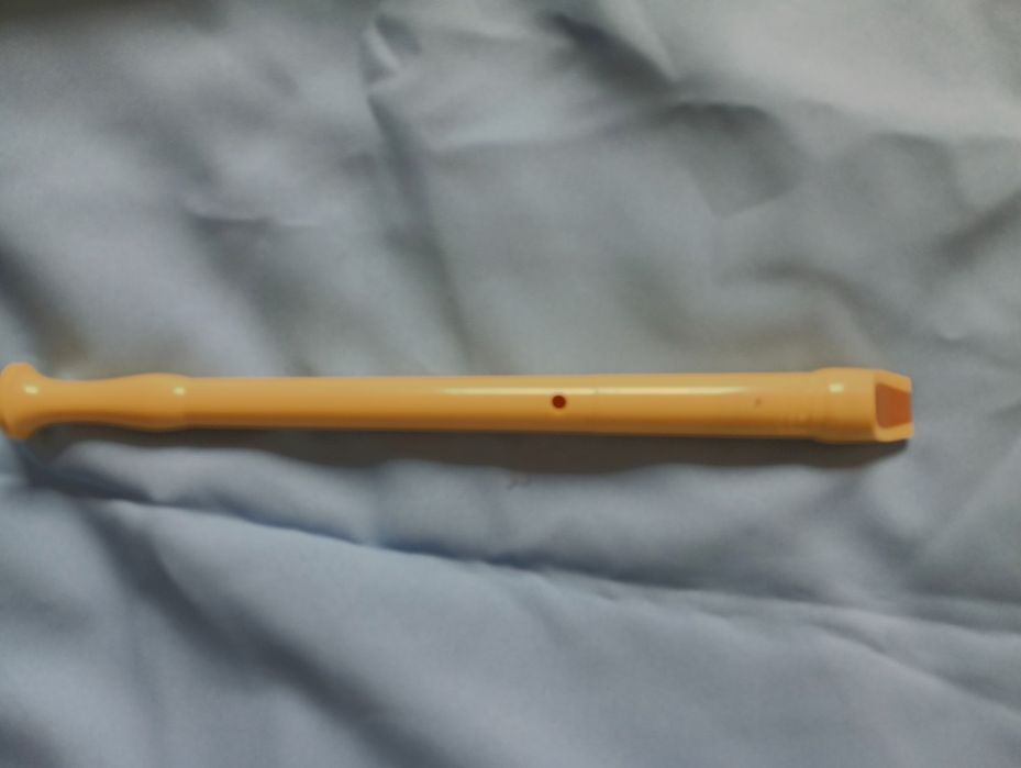 Flauta escolar instrumento musical