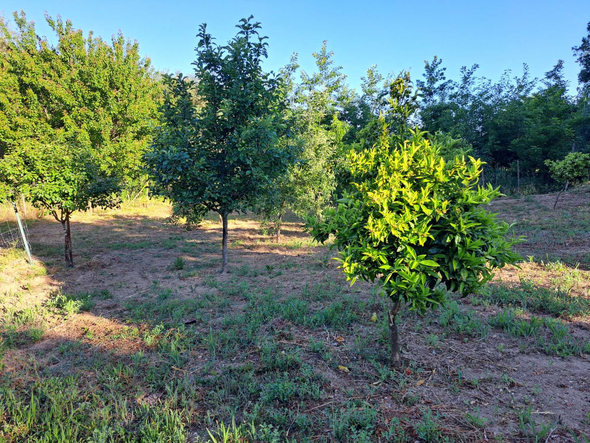 Terreno Agricola