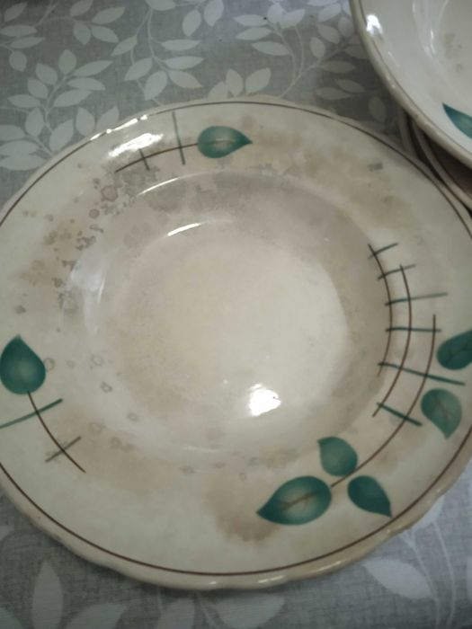 Pratos Antigos com folhas verdes