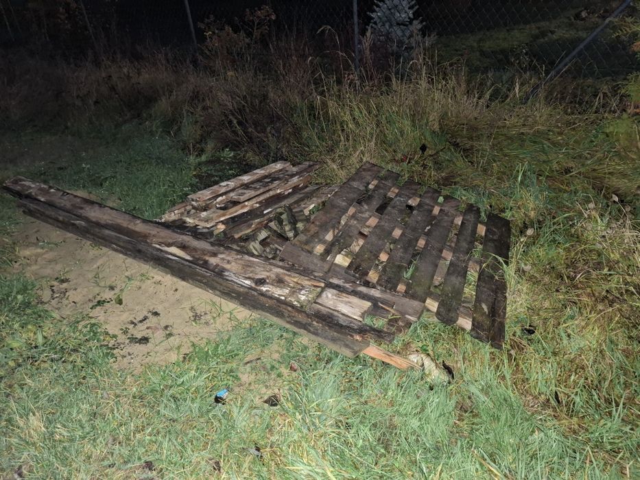 Oddam za darmo drewno