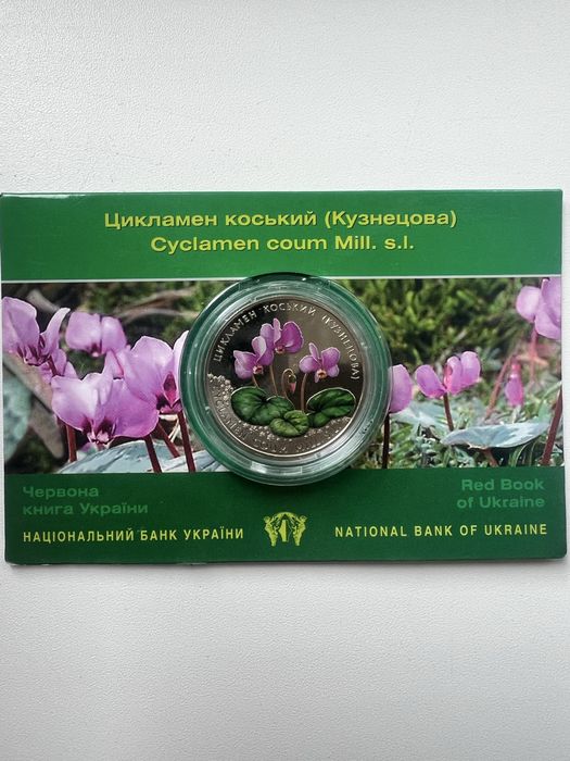 Цикламен коський монета