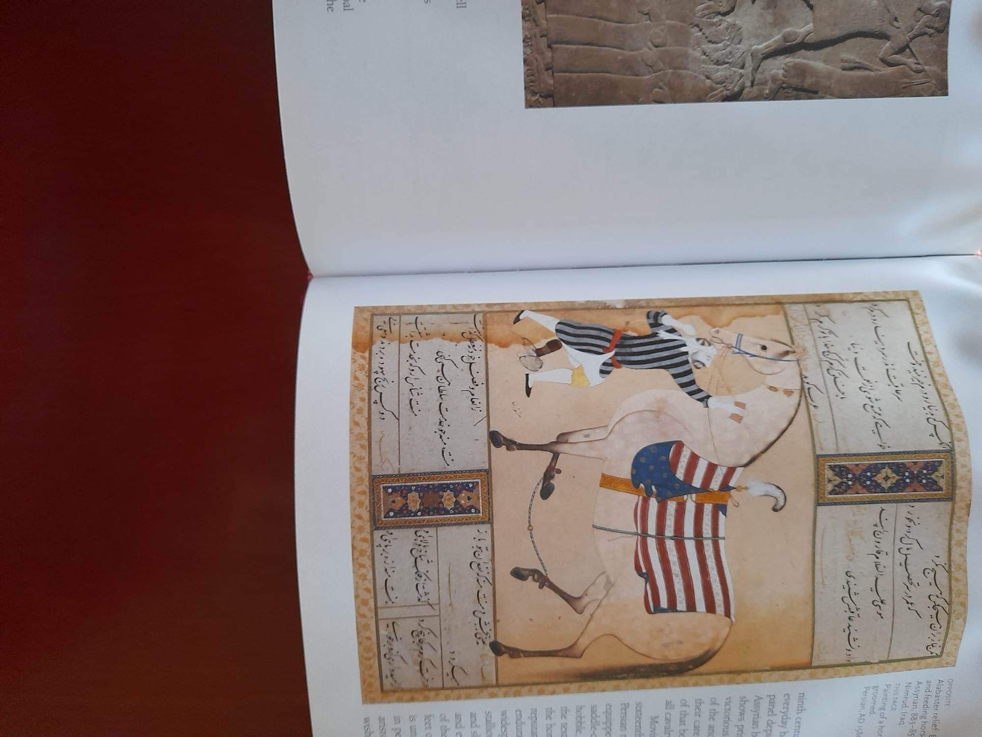Livro Horses history Myth Art, h Cavalos, história mito e arte