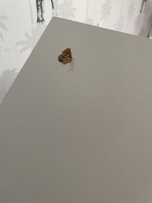 Regał na książki/zabawki - domek