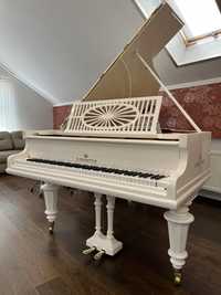Рояль белый, черный от 3500$