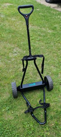 elektryczny wózek do golfa