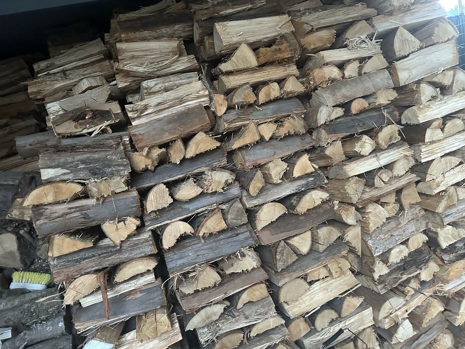 Madeira eucalipto seca pronta para entrega