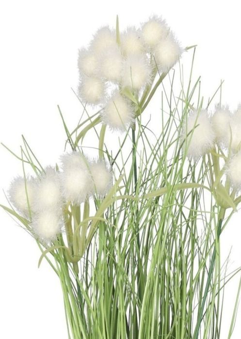 Trawa w doniczce 45 cm