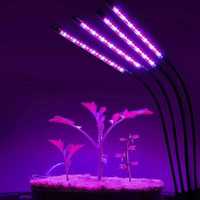 Фитолампа світлодіодна для рослин Plant Grow Light 7819 з таймером