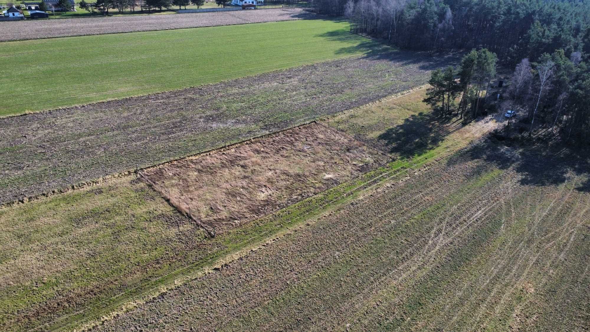 Działka budowlana 1199m2 Golesze Duże, blisko Zalewu Sulejowskiego