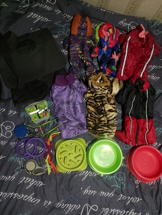 Одяг для собачок