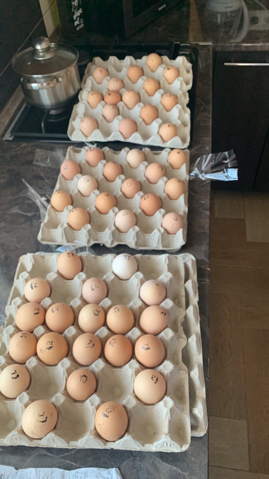 Яйця для інкубації якість гарантована