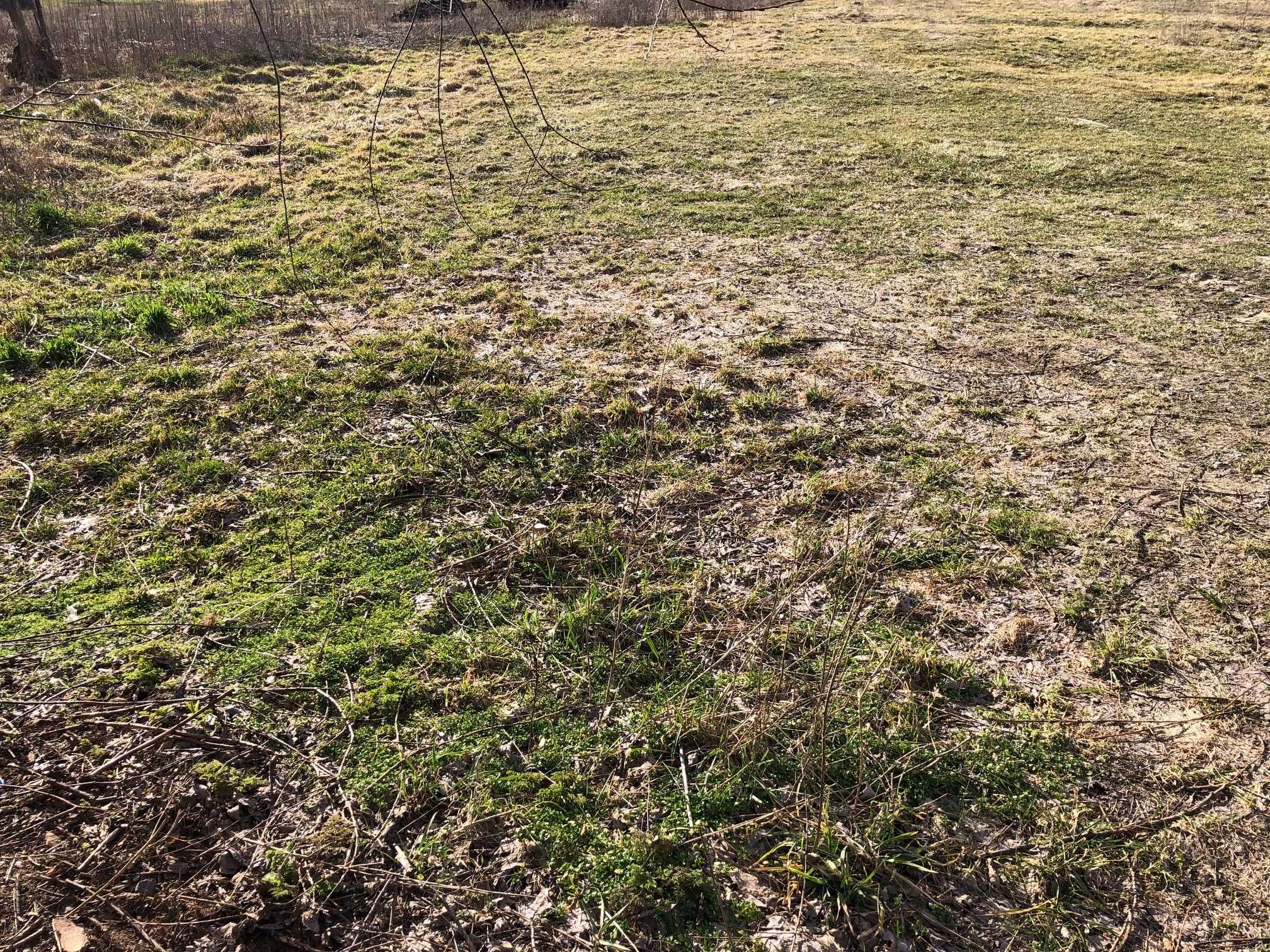 Продаж ділянки 14 сот Велика Димерка, Броварського району, вул.Січнева