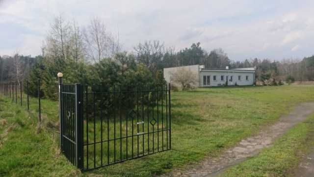 Dom pod lasem z dużą działką - Nowa Cena 580 000 tys