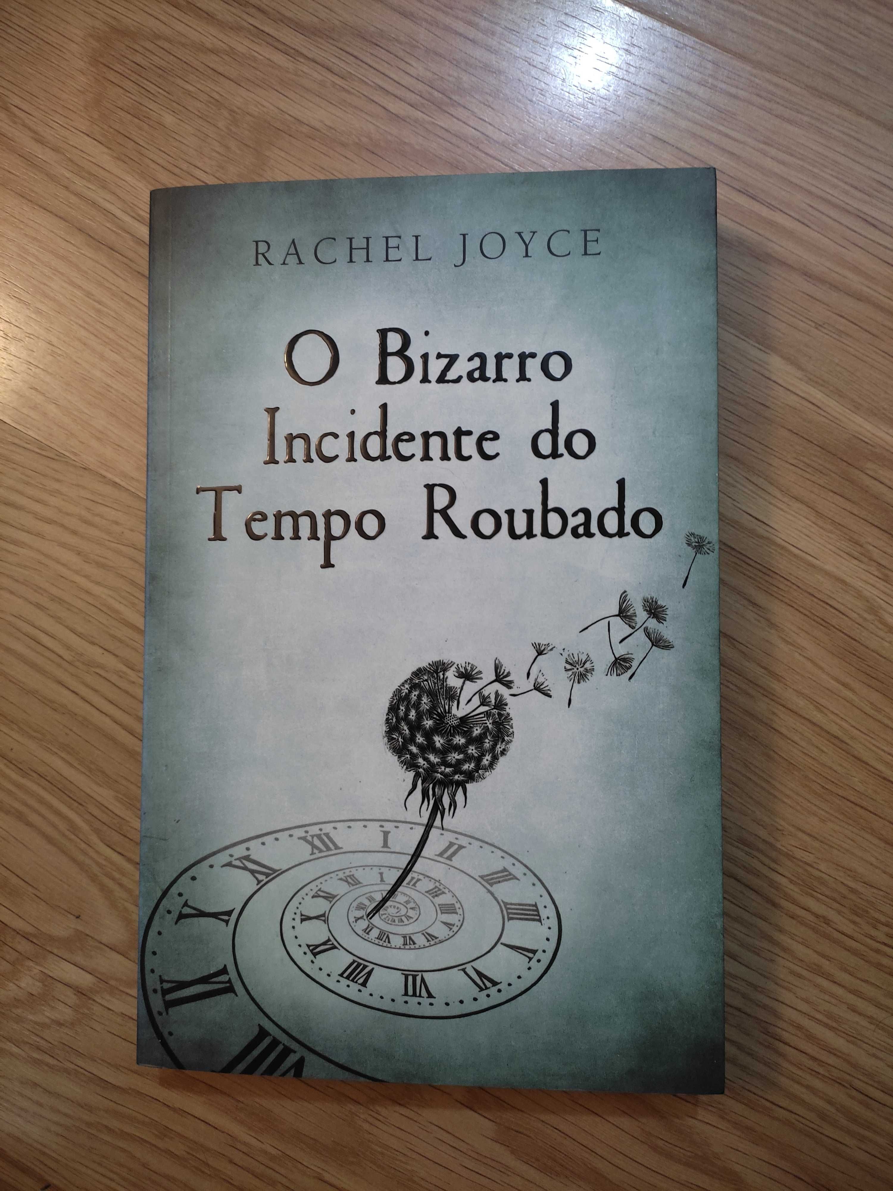 Livro O Bizarro Incidente do Tempo Roubado