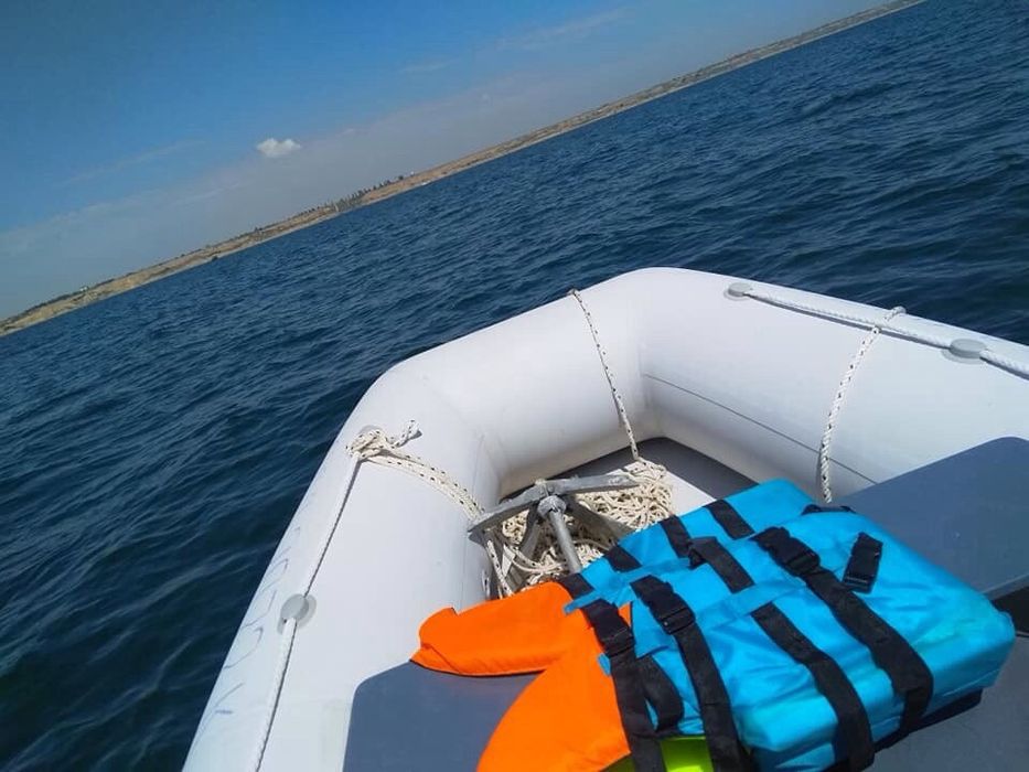 Grand corvette c360 Suzuki DT 15