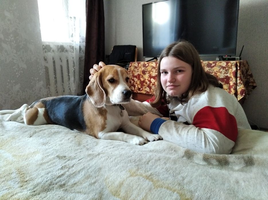 Передержка животных, детский сад для животных на Павловом Поле маленьк