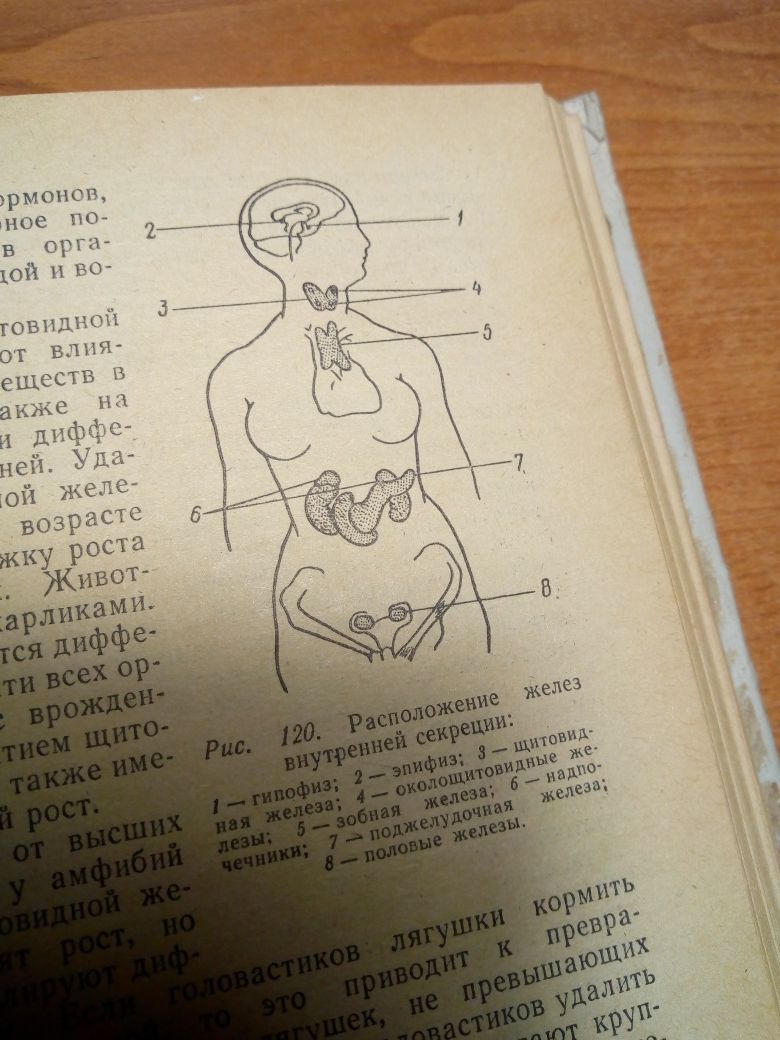 Пособие по биологии для поступающих в вузы. З.Кудряшева, А.Гонжина.