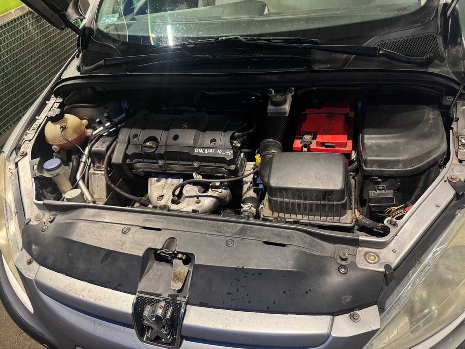 Peugot 307 1.6 Benzyna 2003 (progi do roboty)