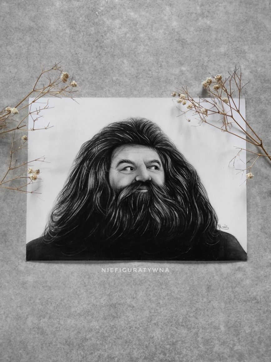 Rysunek Hagrid Portret Harry Potter Prezent
