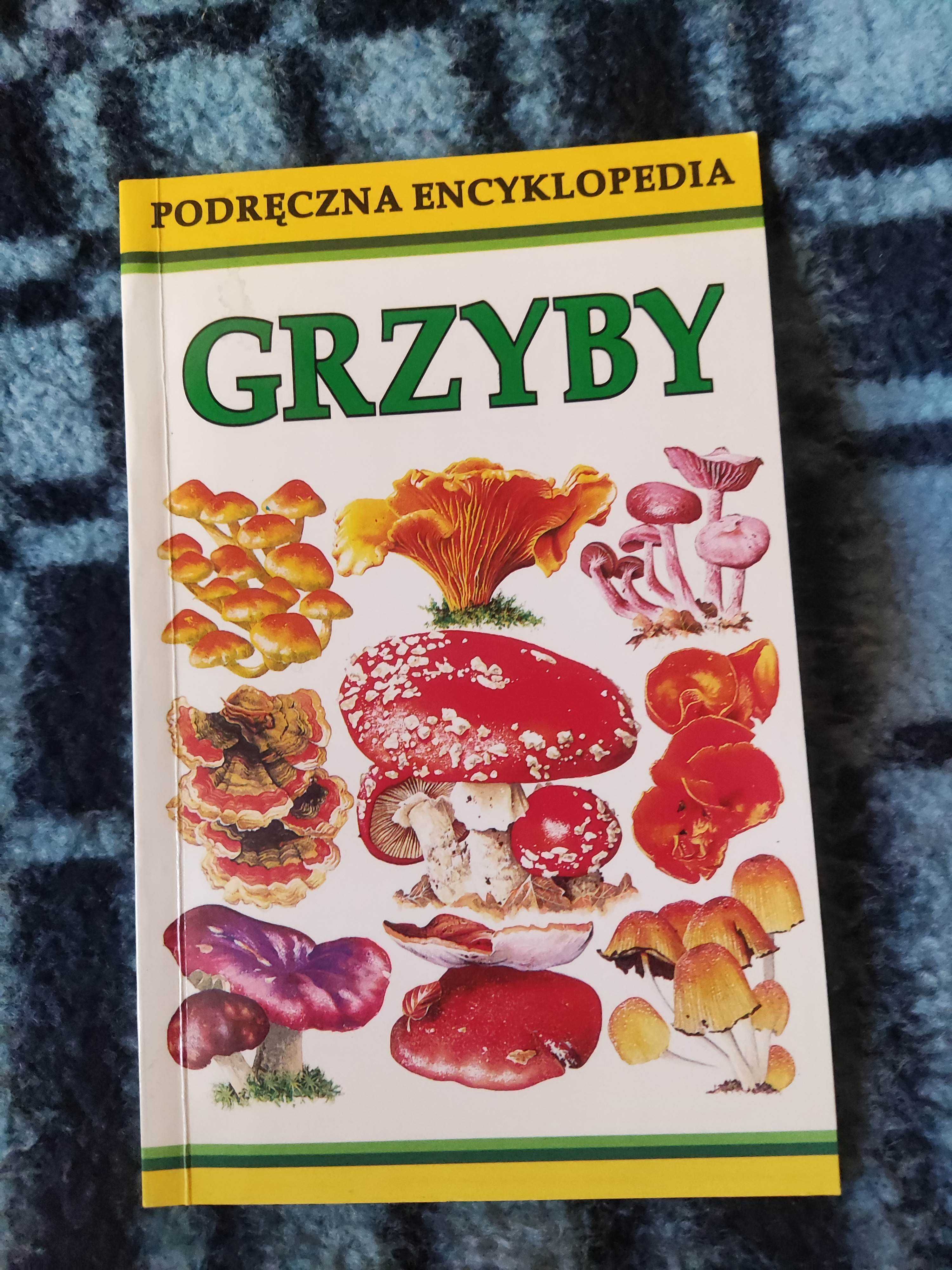 Grzyby Podręczna Encyklopedia 1996