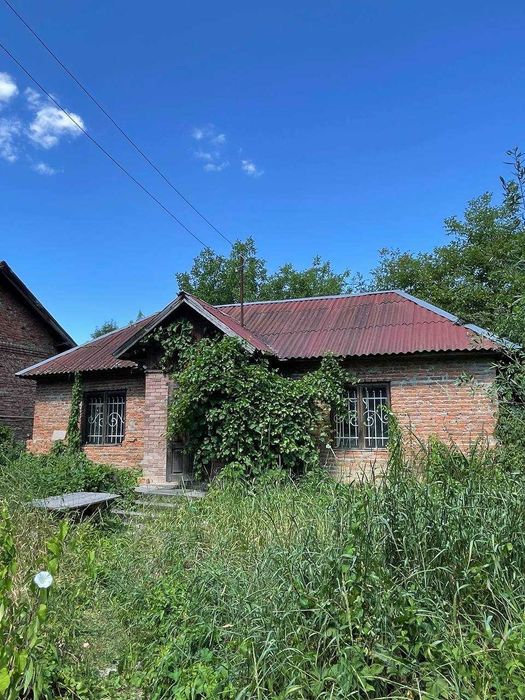 Будинок в с. Золота Липа