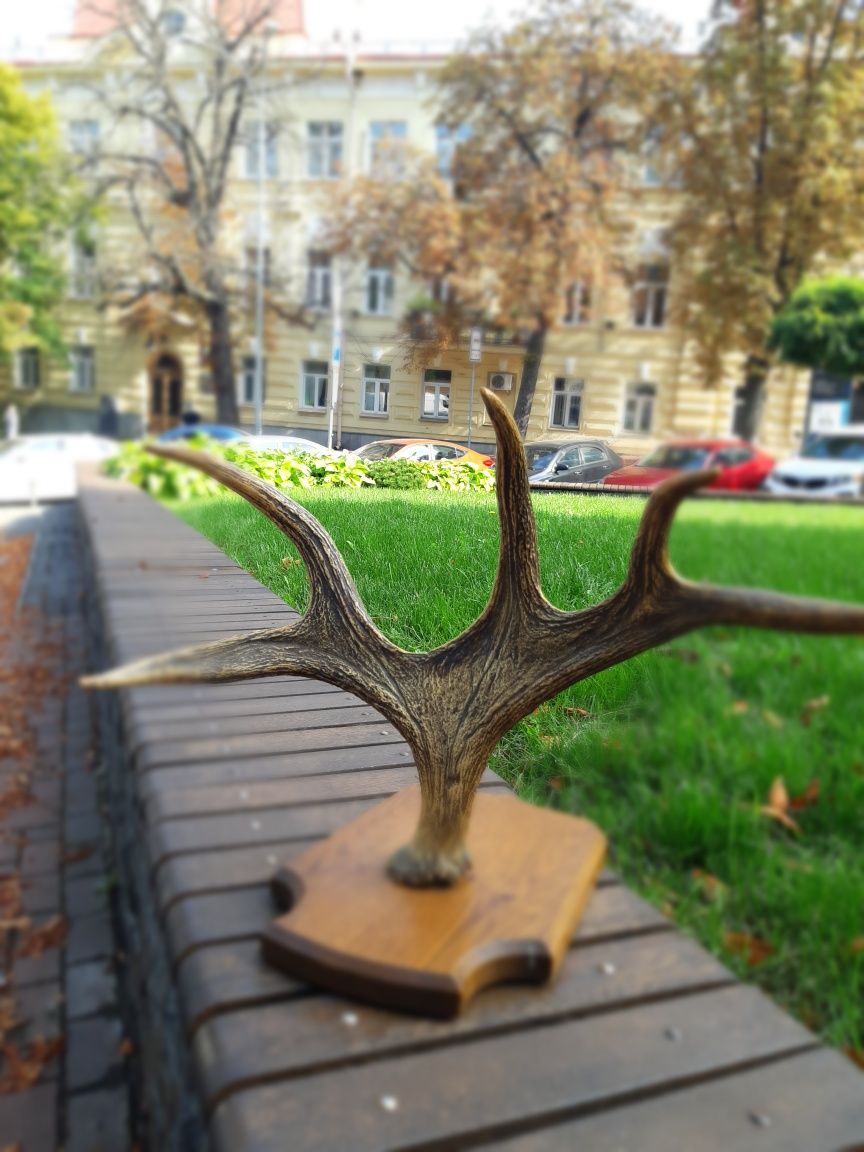 Рога лось вешалка