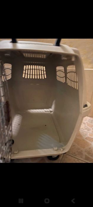 Caixa para transportar cães, com rodas removíveis