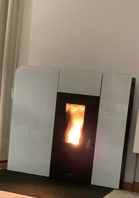 Salamandra Bronpi Cleo Hydro Pellets ( como nova )