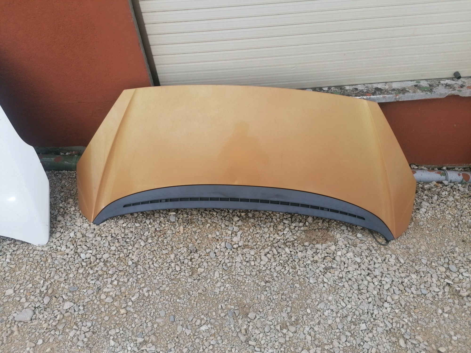 Capô peugeot 1007