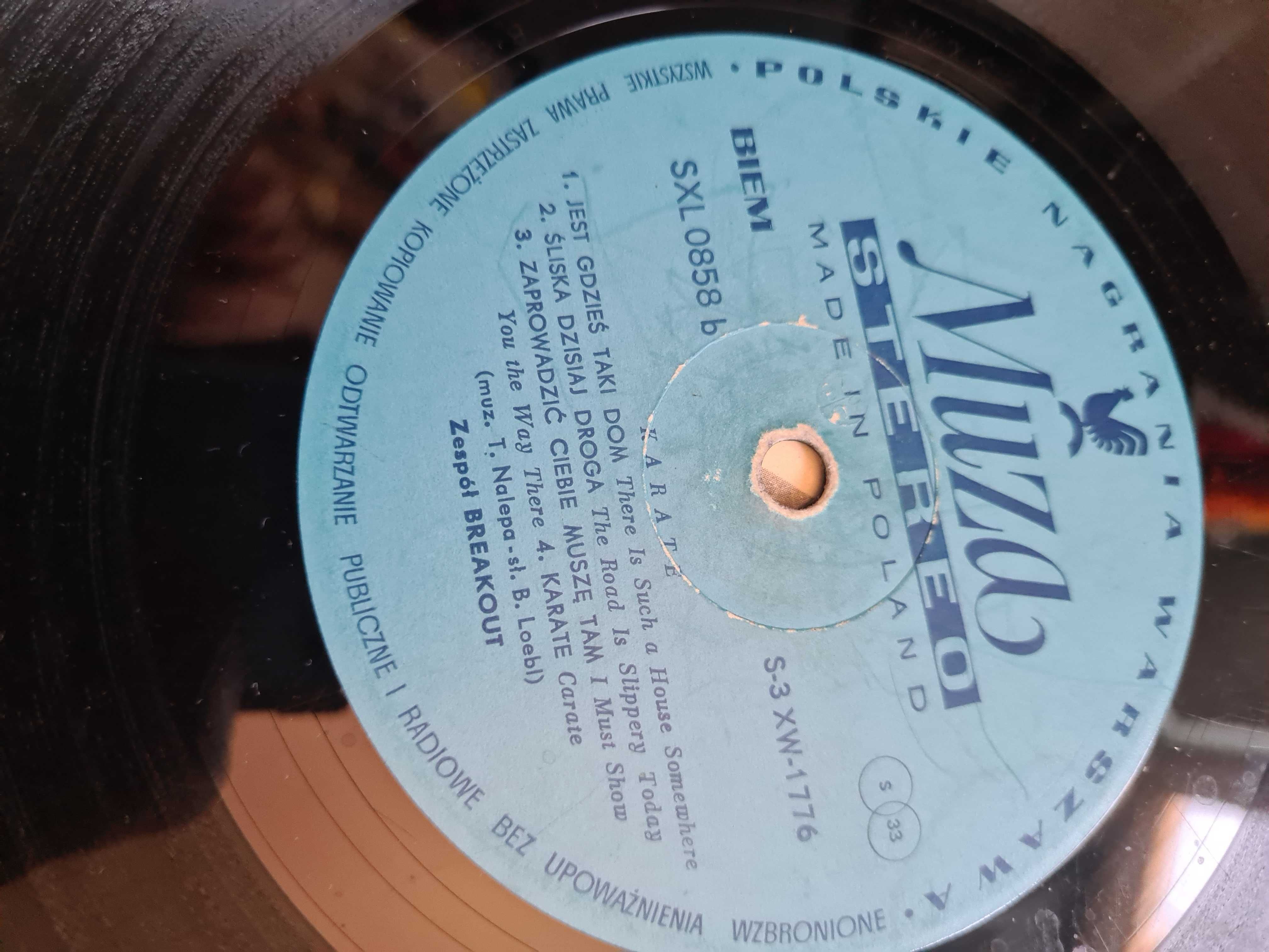 Breakout Karate 1972 LP Winyl unikat