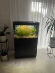 Akwarium Oase 160l