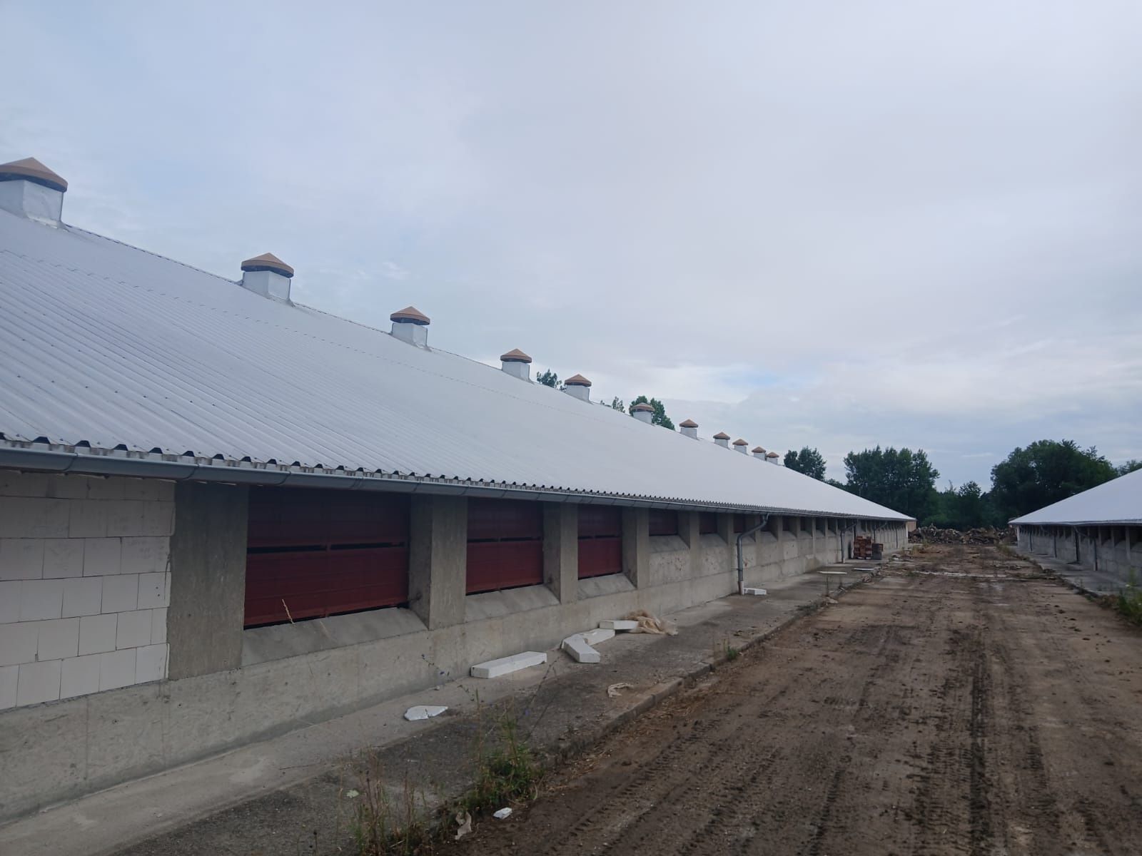 Blacha trapezowa z antykondesatem 4 tyś m2
