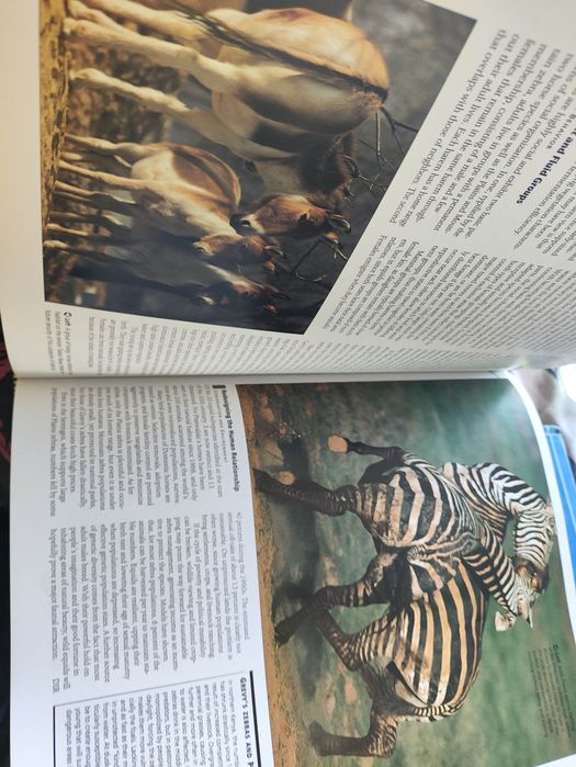 The new encyclopedia of mammals da Oxford