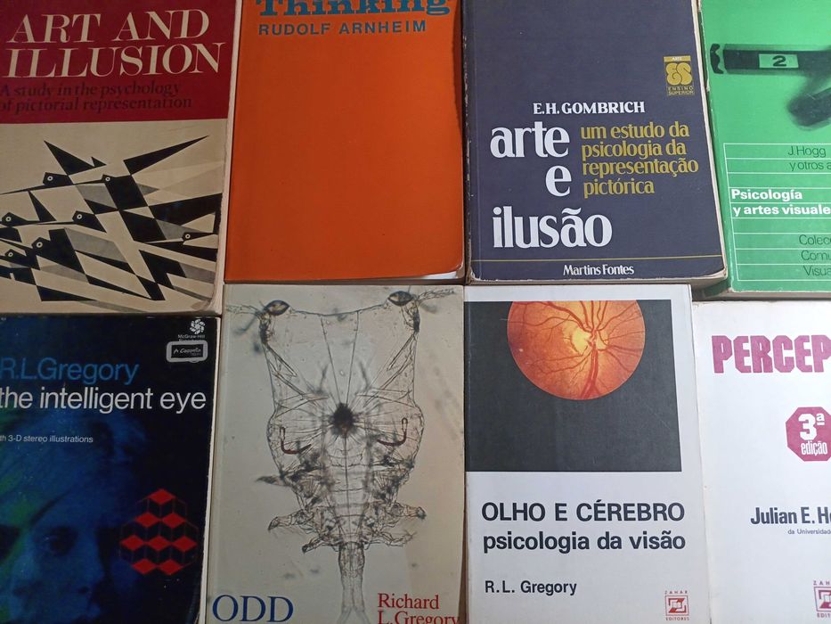 Arneihm, Gombrich, Percepção, Psicologia da Representação Visão