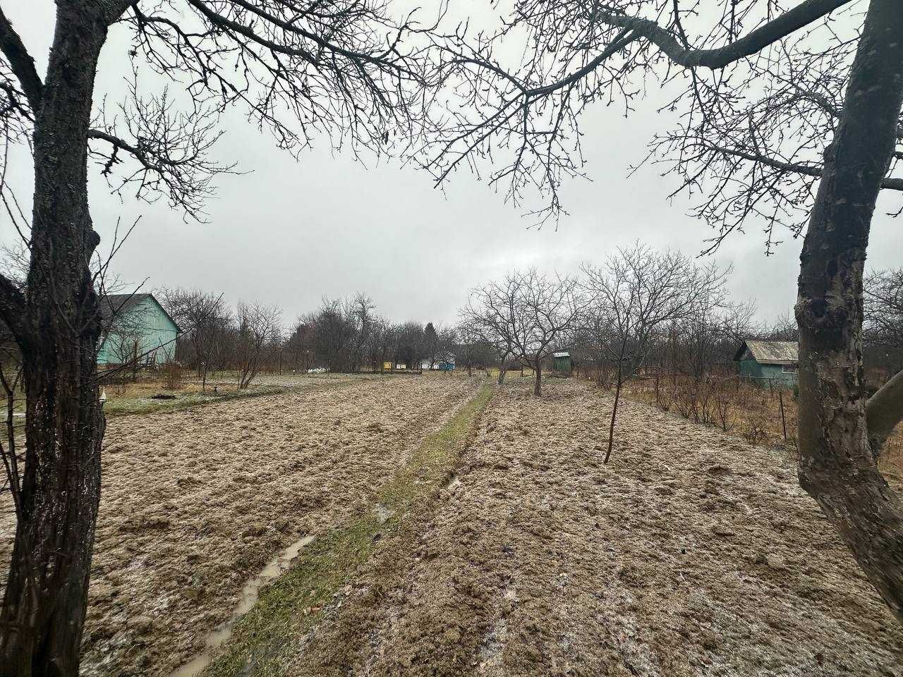 Продається дачна ділянка 6.3сот с. Рибне