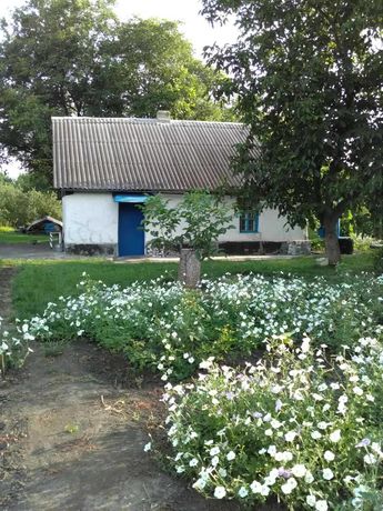 Жилой дом с огородом и ореховым садом.