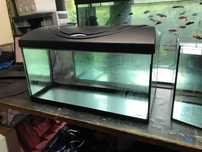 Akwarium 60 x 30 x 30 Diversa