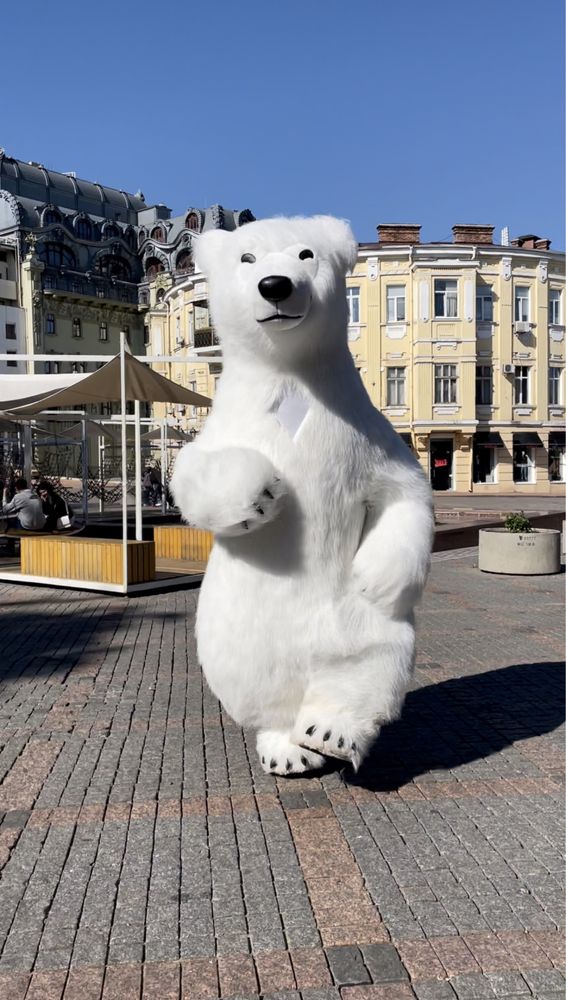 Поздравление на праздник! Белый медведь, панда. Мишка Умка Одесса