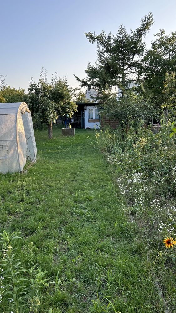 Ogródek działkowy 255 m2 ROD Lepsze jutro ul. Jaracza